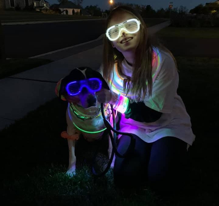 Media Alert: HSHA Goes Virtual with GLOW 5K Run/Walk for the Animals