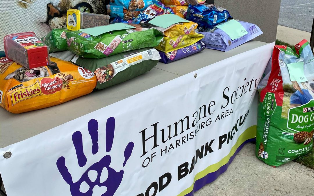 Pet Food Bank: Innovation & Partnership