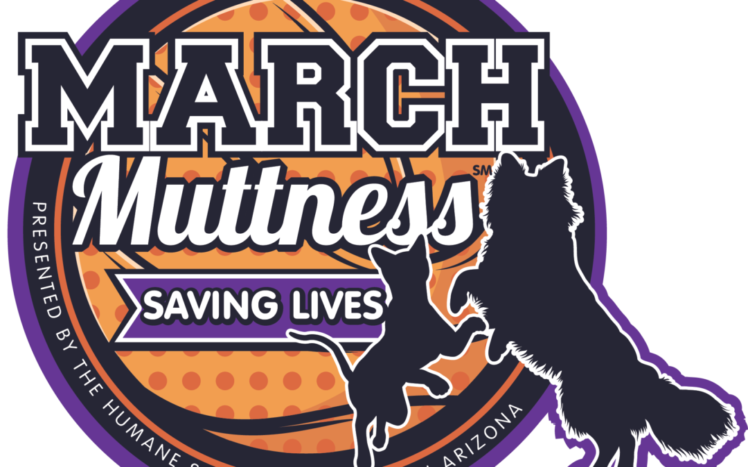 Press Release: March Muttness Virtual Tournament for animal shelters begins!