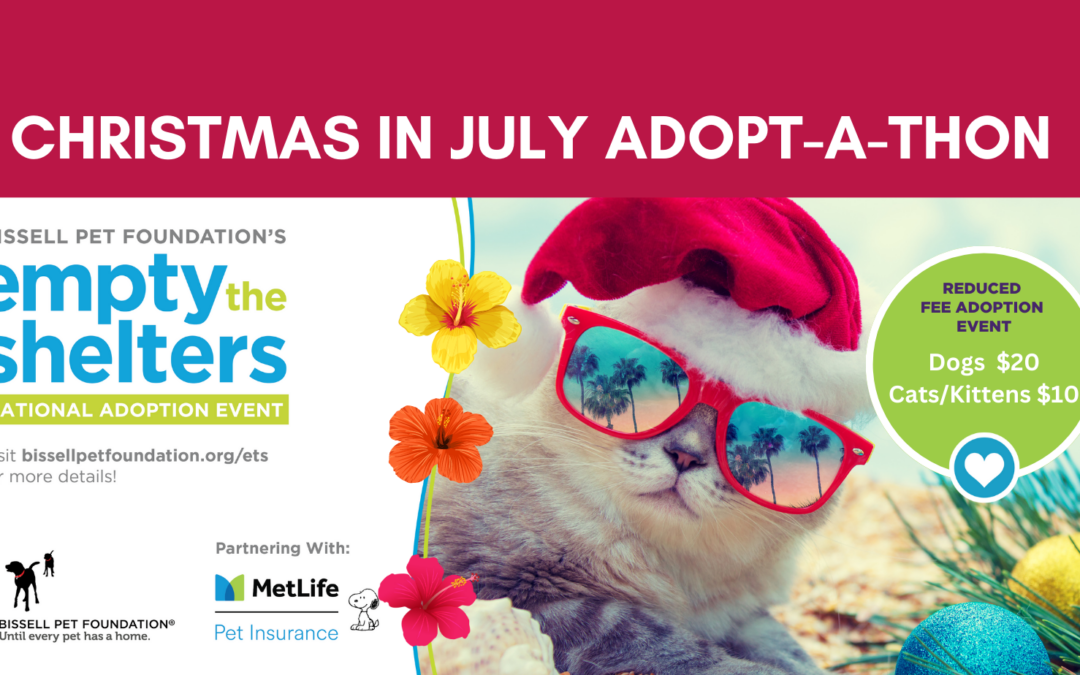 BISSELL Pet Foundation Partners with MetLife Pet Insurance for Summer National “Empty the Shelters” July 6-31