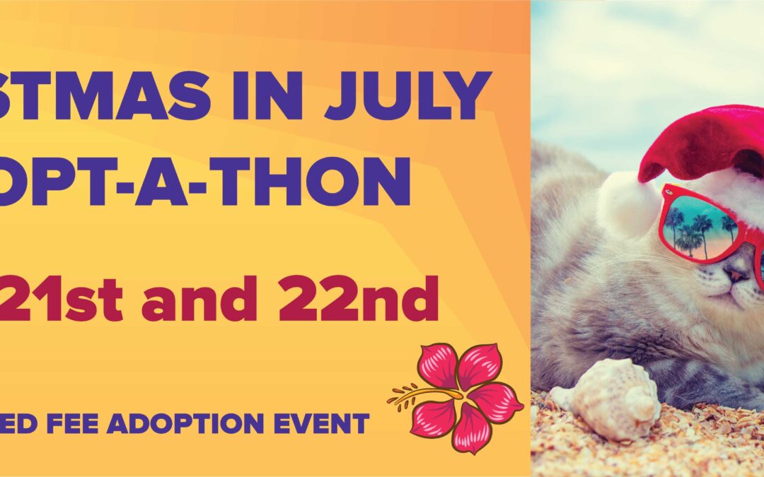 Media Alert: It’s Christmas in July at the Humane Society of Harrisburg Area’s Adopt-a-Thon
