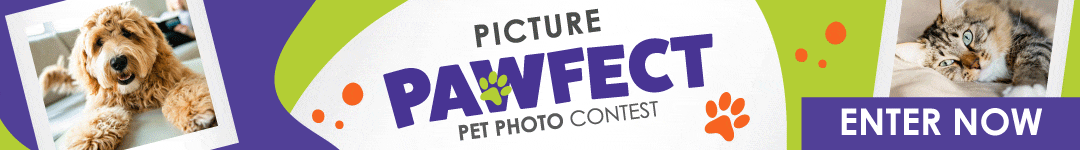 2026 Calendar Contest: Last Day to Enter/Vote