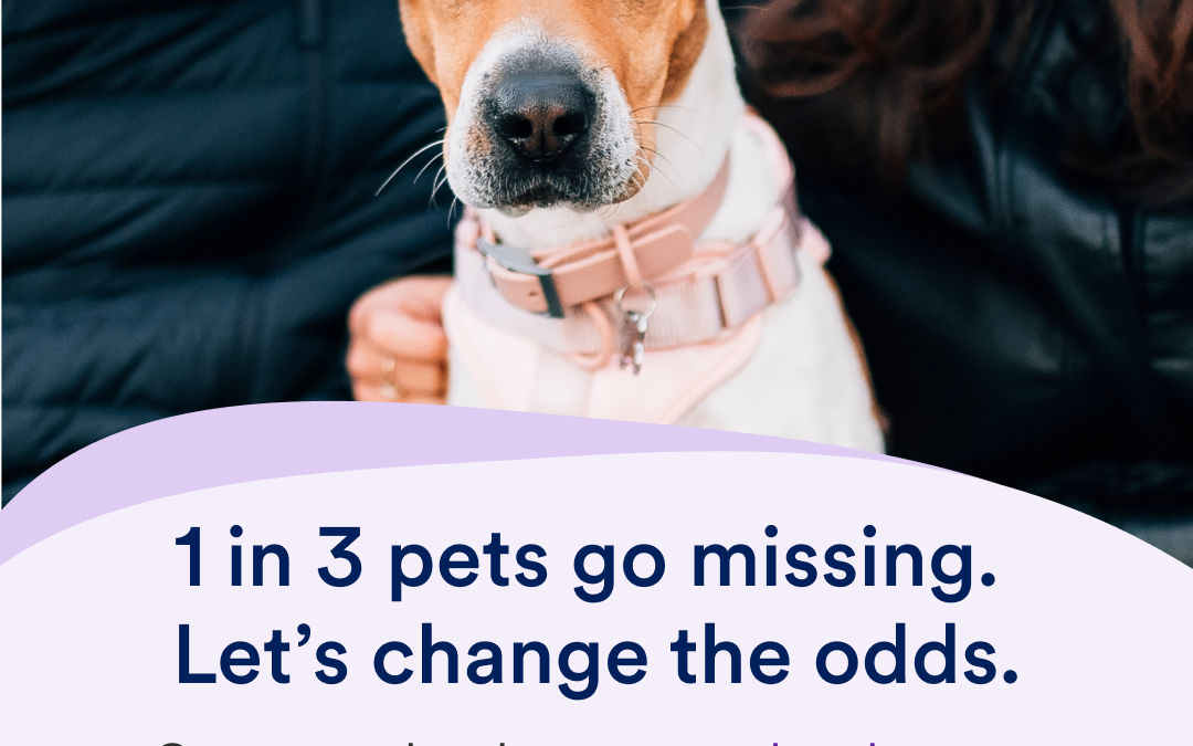 Humane Society of Harrisburg Area Using Innovative AI Technology from Petco Love Lost  To Help Reunite Lost Pets with Their Families